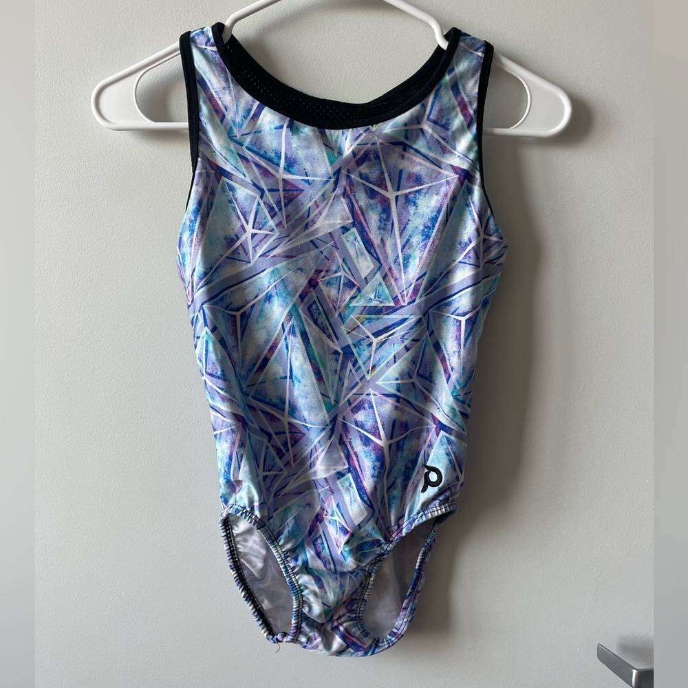 Plum Practicewear: Razorback Glacier Leotard